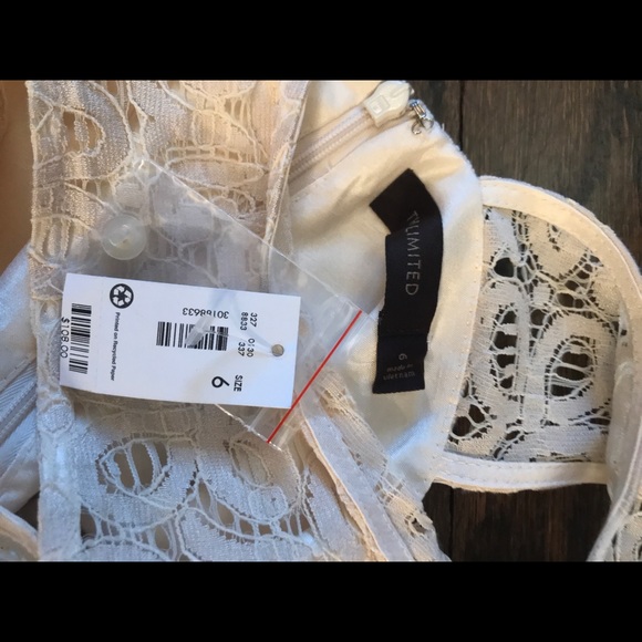 Gorgeous cream lace spring dress size 6 - Picture 8 of 8